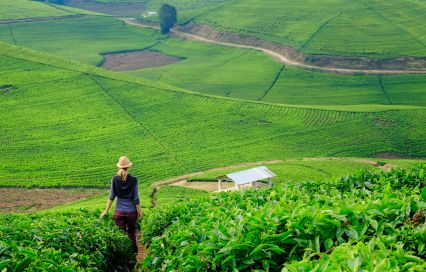 Solo Woman Travel Rwanda: A Safe, Inspiring Journey in the Heart of Africa
