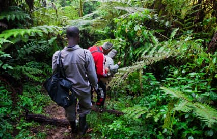 Rwanda Adventures Travel: A Guide to Thrilling Experiences in the Land of a Thousand Hills